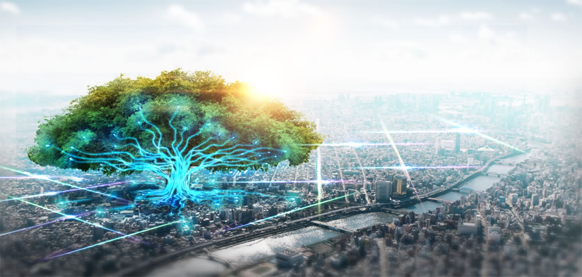 方正科技宽带服务